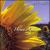 Home Again von Sal Arico