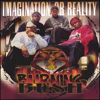 Imagination or Reality von Burning Bush