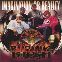 Imagination or Reality von Burning Bush