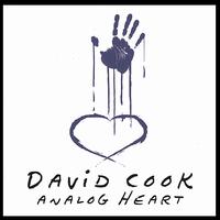 Analog Heart von David Cook