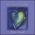 Heart of Healing von Karen Drucker