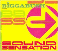 Sound Sensation von Glyn "Bigga" Bush