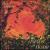 Through the Fields of Home von Ellen Edwards