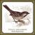 Book of Sparrows von Tracy Grammer