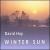 Wintersun von David Hay