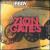 Zion Gates von Solomon Jabby