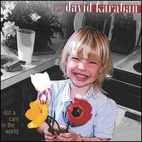 Not a Care in the World von David Karaban