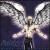 Signs and Miracles von Nostalgia