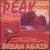 Dream Again von Peak