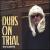 Dubs on Trial von Ric Seaberg