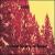 Arsenicum Album von Rien
