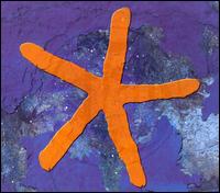 13th Star von Fish