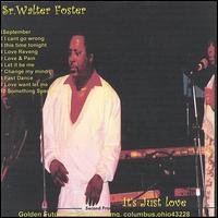 It's Just Love & Pain von Walter Foster