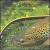 Perfect Existence von Troll for Trout