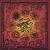 Chase the Fire von Wayne Naus
