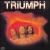 In the Beginning von Triumph