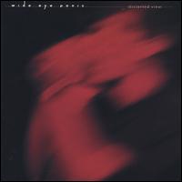 Distorted View von Wide Eye Panic