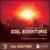 Soul Adventures, Vol. 1: A Journey Through Music to Healing and Relaxation von Rasa Living Wellness