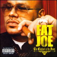 Elephant in the Room von Fat Joe