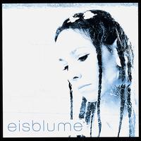Eisblume von Eisblume
