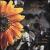 Sound of Yes von Brian Gottesman