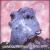 Parakeetfishhead von Brian Cutean