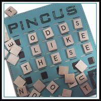 Odds Like These von Pincus