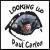 Looking Up von Paul Carlon