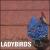 Ladybirds von Sarah Roberts