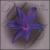 Violet Flower von Yolanda Johnson