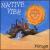 Mirage von Native Vibe