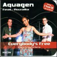 Everybody's Free/Hard to Say I'm Sorry von Aquagen