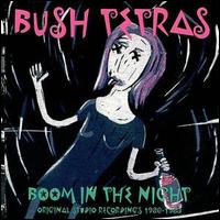 Beauty Lies von Bush Tetras