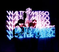 Voyager von Walter Meego