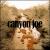 Canyon Joe von Joe Purdy