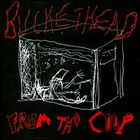 From the Coop von Buckethead