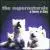 Tune A Day von Supernaturals