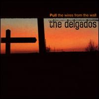 Pull the Wires from the Walls von The Delgados