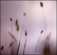 Float von Peter Broderick