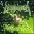 Mechanics of Perilous Times von Ultimatum