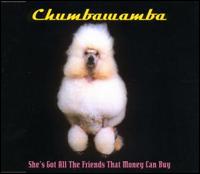 She's Got All the Friends [UK CD Single] von Chumbawamba
