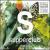 Supperclub: Beauty von Various Artists