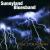 Soul Storm Comin' von The Sunnyland Blues Band