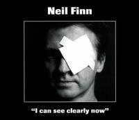 I Can See Clearly Now von Neil Finn