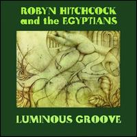 Luminous Groove von Robyn Hitchcock