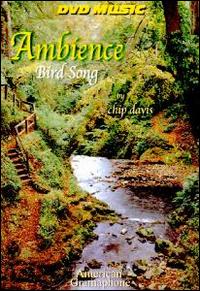 Bird Song: Ambience [CD & DVD] von Chip Davis