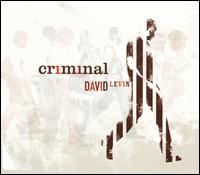 Criminal von David Levin