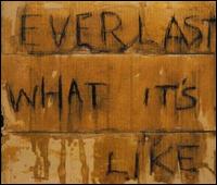 What It's Like [UK] von Everlast