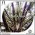 Decade of Dance: The Best of Human Blue, Vol. 1 von Human Blue