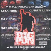 Still Not a Player [Video/DVD] von Big Punisher